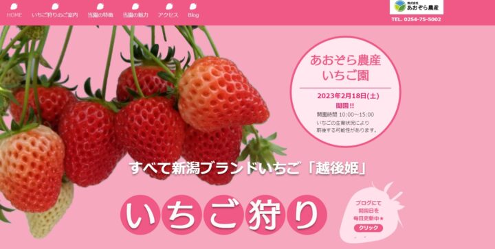 新潟県｜いちご園｜株式会社あおぞら農産いちご園さまの画像